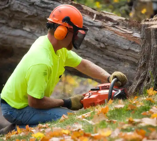 tree services New Salem